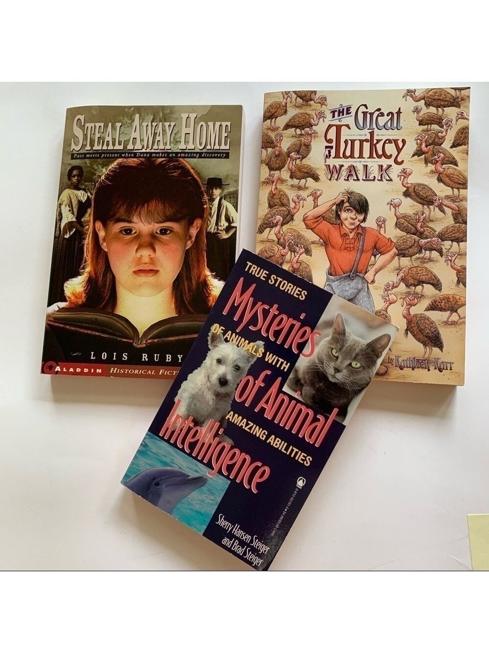 SCHOLASTIC three middle school chapter books new